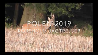 Polen 2019  Korsholm Jagtrejser [upl. by Aldercy]