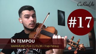 TUTORIAL VIOARĂ 17 🎻MARAMUREȘ PLAI CU FLORI  Frații Petreuș rezumat [upl. by Bonn]