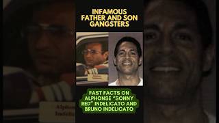 “SONNY RED” AND BRUNO INDELICATO  FATHER AND SON MOBSTERS bonannocrimefamily dominickcicale mob [upl. by Leaffar]