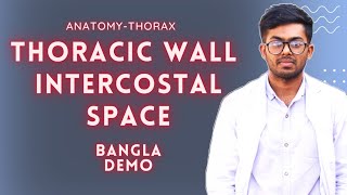 Thoracic Wall amp Intercostal Space Anatomy of Thorax thorax ribs whiteapron parthoprotim [upl. by Ahsenyl]