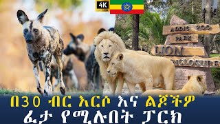 🌼አዲስ ዙ ፒኮክ መናፈሻ ፓርክ I ፒኮክ መናፈሻ ፓርክ  Addis zoo park Peacock Park Addis Ababa Walking [upl. by Tai]