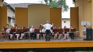 Orkiestra Dęta OSP Bulowice  Echo Trombity 2016 [upl. by Ailes]