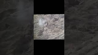 trophyhunt of famous Astore markhor hunza ghulkinnatureconservation viral youtubeshorts video [upl. by Anerres]