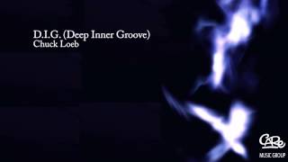 Chuck Loeb  D I G Deep Inner Groove [upl. by Tiernan702]