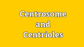 Centrosome and Centrioles  Cell Division  Spindle fibers  Cell Biology  HindiUrdu Lecture [upl. by Seldon]