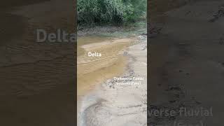 Backyard Delta System axial transverse fluvial flume deltaic basin sediment clastics [upl. by Levitus]