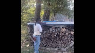 DIY WOOD SHED firewood family woodstove fire fireplace firewoodstorage wood chainsaw winter [upl. by Retsbew]