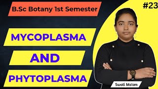 Mycoplasma amp Phytoplasma  Bsc Botany 1st semester  Swati Maam [upl. by Aitnas85]