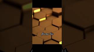 Paneles de abejas hexagonales shorts curiosidades interesante [upl. by Ednil373]