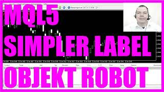 MQL5 TUTORIAL DEUTSCH  SIMPLES OBJEKTORIENTIERTES LABEL [upl. by Nyasuh]