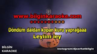 Zülfü Livaneli  Leylim Ley Karaoke Orjinal Stüdyo [upl. by Tail]