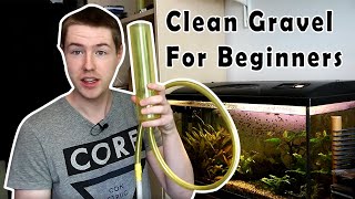 Exactly How To Clean Aquarium Gravel For Beginners [upl. by Nikolaos]