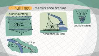 Årsaker til rømming av fisk [upl. by Brodench510]