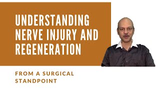 Understanding Nerve injury and Regeneration  From a surgical standpoint [upl. by Learrsi849]