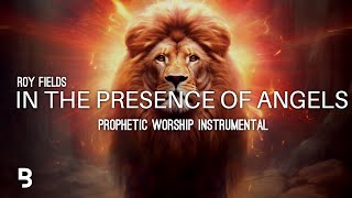 Prophetic Worship Music  In The Presence of Angels Intercession Prayer Instrumental  Roy Fields [upl. by Smitt]