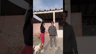 Visita a albergue de perritos discapacitados  Adoptemos y cambiemos la vida a un 🐶  sigue al [upl. by Eniamrahs288]