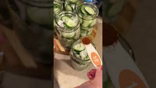 Part 2 of 2 Nothing beats homemade pickles made with Kathy’s recipe 🥒 [upl. by Esital]