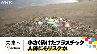 地球のミライ 小さく砕けたプラスチックの脅威  NHKスペシャル「2030 未来への分岐点」プラスチック汚染の脅威 大量消費社会の限界  SDGs  NHK [upl. by Annawyt]