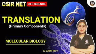 Translation Primary Components Lec01 Molecular Biology  CSIR NET Life science  Bansal Academy [upl. by Zerep362]