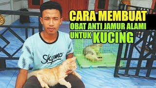 Cara Membuat Obat Anti Jamur Kucing Dari Bahan Alami [upl. by Audrie]