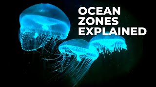 Ocean Zones — EXPLAINED [upl. by Enelrak112]