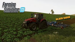 PLANTING OILSEED RADISH amp HOW TO HARVEST IT  FARMING SIMULATOR 23 NEUBRUNN [upl. by Aliam]