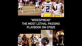 The Most Lethal Passing Playbook On CFB25 [upl. by Mort]