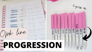 Ovulation Test Line Progression Cycle 1  Trying To Conceive Baby 3 [upl. by Natalee220]