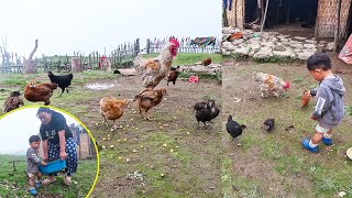 Jonson feeding baby Chicken  Jonson helping mom on her workpastorallifeofnepal [upl. by Anjanette742]