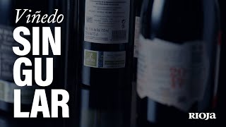 ¿Conoces los vinos de Viñedo Singular [upl. by Ebba]