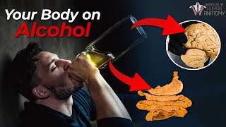 Should You Stop Drinking Alcohol [upl. by Folberth]