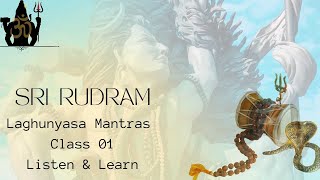 Learn Sri Rudram in English  Laghunyasa Mantras Class 1  Spiritual Talks by Sai Sravan Cherukuri [upl. by Annaoj]