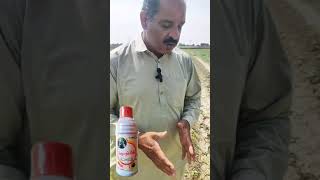 Glyphosate Result I گلائیسوفیٹ رزلٹ [upl. by Slaby]