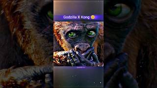 Godzilla x Kong 💪  kong godzilla wildlife shorts [upl. by Cindy942]