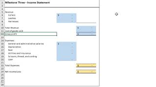 ACC202 Project Income Statement [upl. by Grounds273]