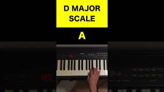 D Major Scale On Piano Easy Tutorial For Beginners  Music Simply Understood music DMajor [upl. by Nylirak574]