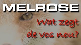 Melrose  Wat zegt de Vos nou [upl. by Tilney867]