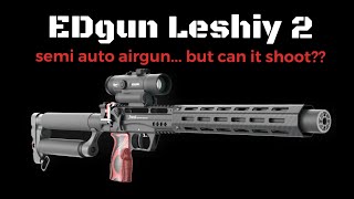 EDgun Leshiy 2  Long Range Accuracy can it shoot [upl. by Yvad]