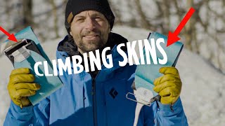 How To Use Climbing Skins When Ski Touring in the Backcountry [upl. by Ejroj]