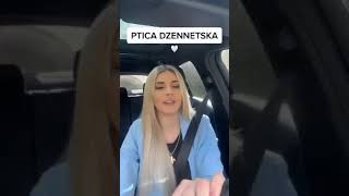 Meliha Imširović učesnica Zvezda granda prelijepo uči ilahiju “Ptica dženetska” [upl. by Kinzer]