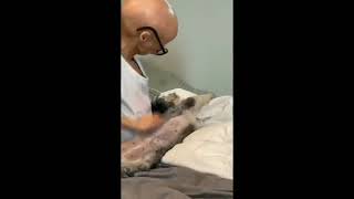 Adalia Rose last video adalia Rose death news [upl. by Talmud]