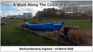 A Walk Along the Coast at Beadnell Northumberland England  14 March 2022 [upl. by Lowery451]