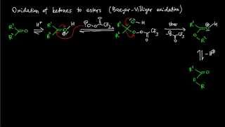 A12 BaeyerVilliger oxidation reaction mechanism [upl. by Ayotal853]