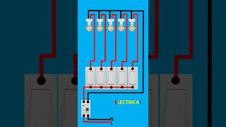 2 pole mcb wiring connection with 5 switches 5 holders electrical electricalwiring boardwiring [upl. by Winna]