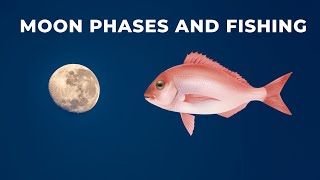 How the Moon and Tides affect bite times for fish like snapper trevally and kingfish [upl. by Ahsaetal]