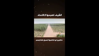 توب شيف  الحلقة 7  الشيف تحولوا إلى أعداء وقرروا التزام الصمت وعدم البوح بوصفتهم لربح التحدي [upl. by Alidis]