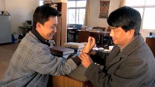 Tibet Foundation  Call Of The Snow Lion Film 6  Traditional medicine Dharamsala 1080p [upl. by Ycak495]