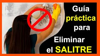 Cómo combatir el SALITRE💦 de forma efectiva PROBADO 100 💪 [upl. by Nylrebma]