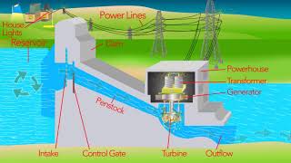 How a Hydro Electric Dam Works [upl. by Ygief]