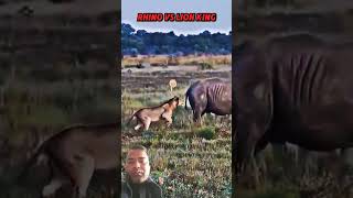 Rhino 🦏 Vs lion King 👑youtube short video wildlife animals skvlogs102 [upl. by Becht]